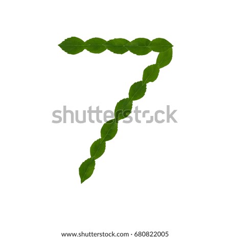 Number 7 made from green leaves isolated on white background