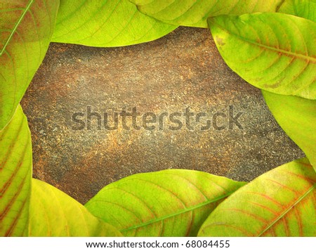 stone wall surface with green Leafs  frame