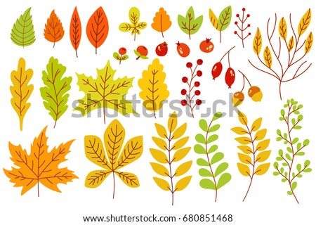 Set of colorful autumn leaves and berries. Isolated on white background. Simple cartoon flat style. vector illustration.
