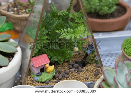 Interior fittings for Terrarium Make a small garden look lively.