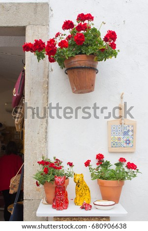 Flowers on the touristic street of Portugal. The Town Of Óbidos.