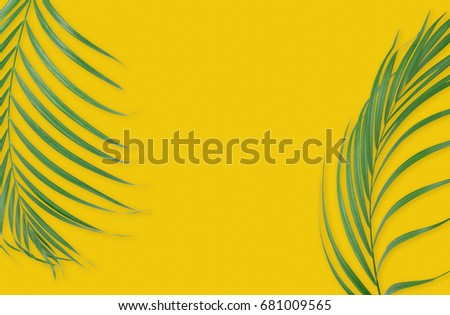 Tropical palm leaves on yellow background. Minimal nature. Summer Styled.  Flat lay.  Image is approximately 5500 x 3600 pixels in size.