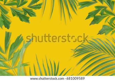 Tropical palm leaves on pink background. Minimal nature. Summer Styled.  Flat lay. High resolution 5500 x 3600 pixels in size.