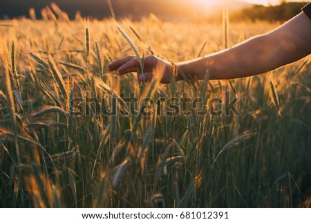 Freedom, Feeling freedom, Summer feeling, Happy, Love nature, Nature lover, Sunset picture