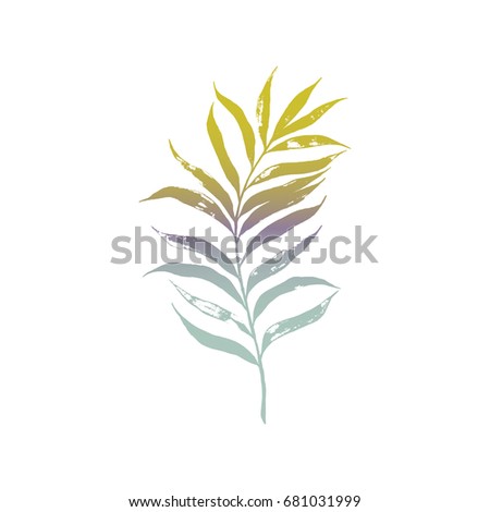 Vector illustration of an elegant hand drawn palm leaf. Floral design element.