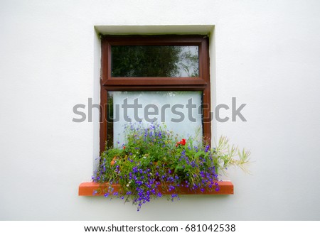 Window box with lobelia, daisies and geraniums