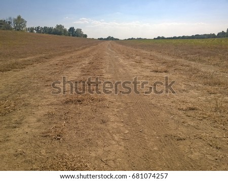 Country road and fields in summer, blue sky