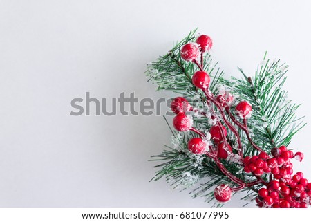 Christmas background with a Christmas tree branch. Christmas time.