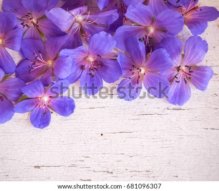 Violet flowers on a wood white background. Selective focus