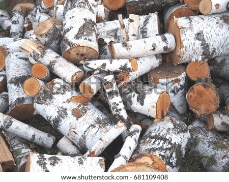 Pile of firewood – supplies for the winter 