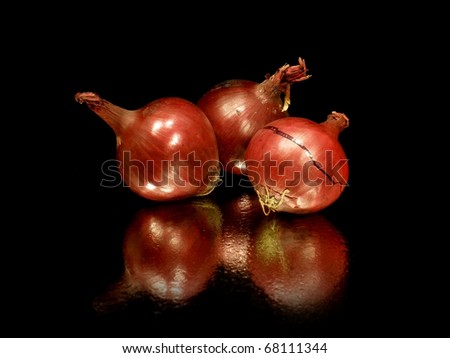 Red onion bulbs on black background with water drops