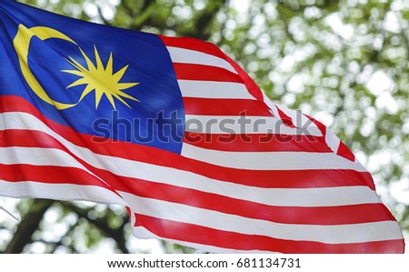 Malaysia Flag also known as Jalur Gemilang waving with the background of Malaysian rainforest trees. In conjunction of Independence Day celebration or Merdeka Day.