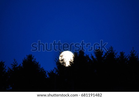 The moon going up to the blue sky at night behind a black branches of tree abstract background. 