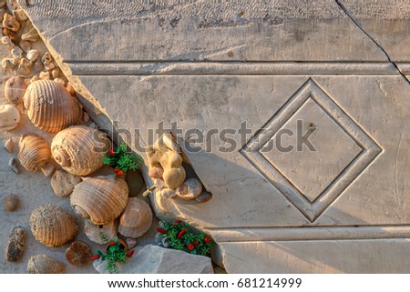 seashells at the marble slab