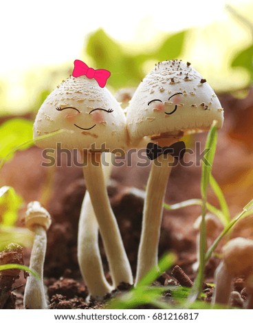 loving mushrooms wallpaper.