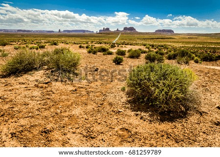 Bush in the foreground with the monument valley in the background and the long road leading to it in a sunny sunshine with clouds