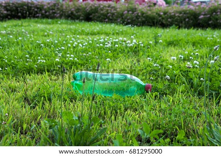 plastic bottles or rubbish on grass in sunny park, , concept of environmental protection, littering of environment