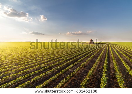 Tractor spraying pesticides on soybean field  with sprayer at spring Royalty-Free Stock Photo #681452188