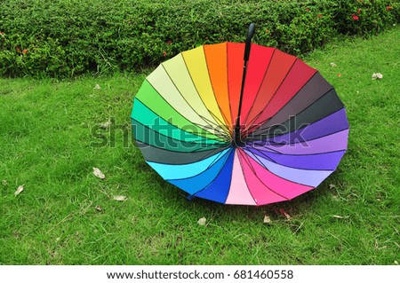 colorful umbrella on green background