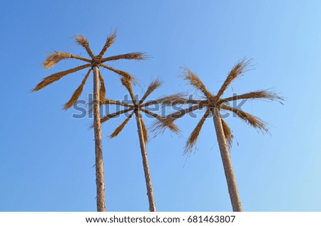Reeds in the form of palm trees on the blue sky background