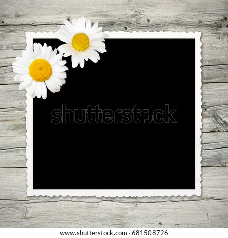 Old photo with black background and white frame on wooden wall, decorated with two daisy blossoms; Placeholder for your picture; Vintage picture frame