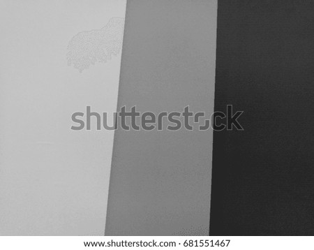 white grey black color