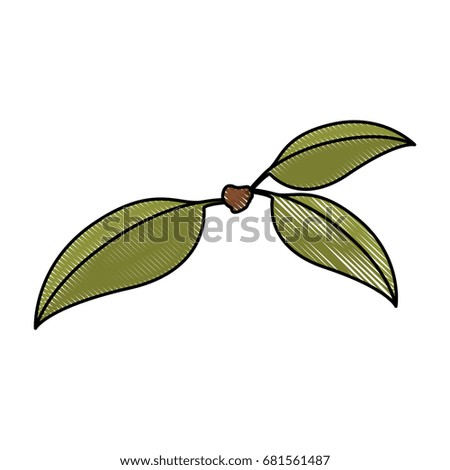 white background of colored crayon silhouette of three green leaves of cherry with stem vector illustration
