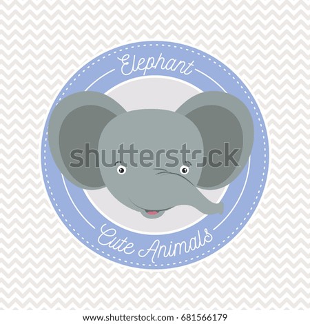 irregular lines background with color frame decorative and face elephant cute animals text vector illustration