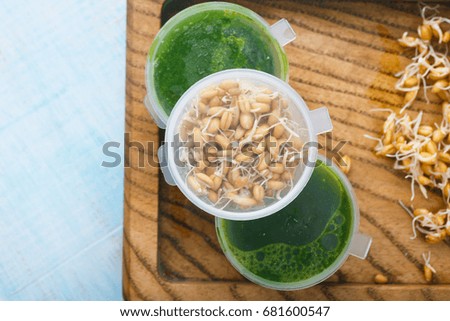 Juice of wheat. Sprouts