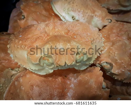 Dried alaska crab shells, Empty orange crab shells, Alaska crab shells stack up together,