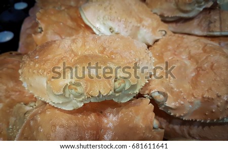 Dried alaska crab shells, Empty orange crab shells, Alaska crab shells stack up together,