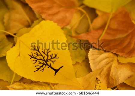 Yellow leaf with a picture of bare tree on the background of fallen autumn foliage