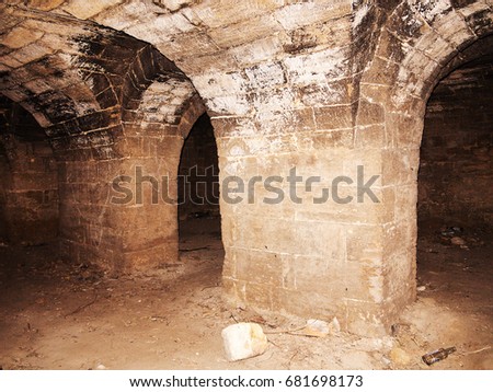 Mystic interior of an ancient dungeon. An old abandoned tunnel in an underground wine cellar. Entrance to catacombs. Dungeon An old stone fortress. As creative background for staging dark design. 