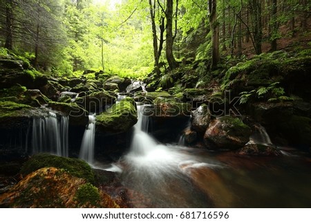 Forest stream flowing from the mountains.
