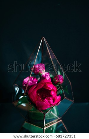 Beautiful rose flowers  in the aquarium composition on black background