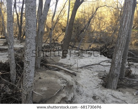 The tree-fallen banks of a river after heavy winter storms washed all the vegetation away. Royalty-Free Stock Photo #681730696