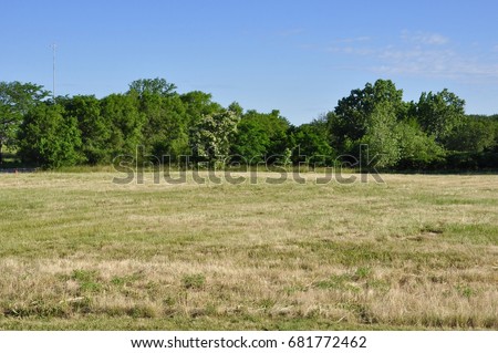 Open field with trees on the horizon Royalty-Free Stock Photo #681772462