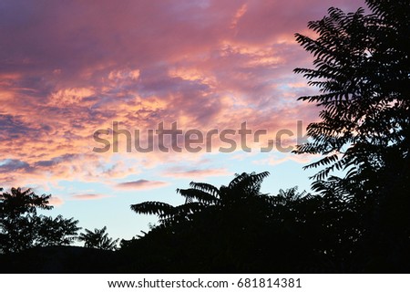 Hill and trees at dusk, red clouds. Vrdnik, Serbia.