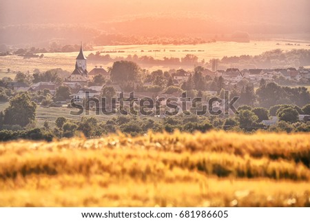 Rural agricultural wheat field with village and church in background - summer sunset warm light