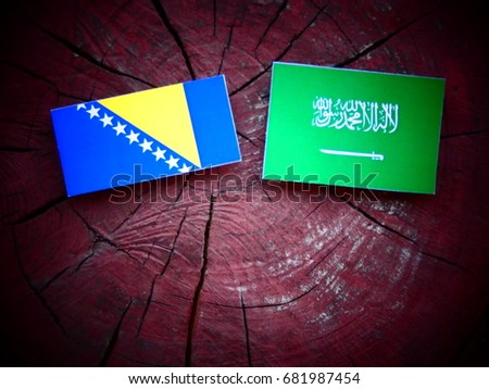 Bosnia and Herzegovina flag with Saudi Arabian flag on a tree stump isolated