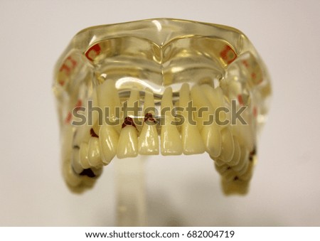 dentistry