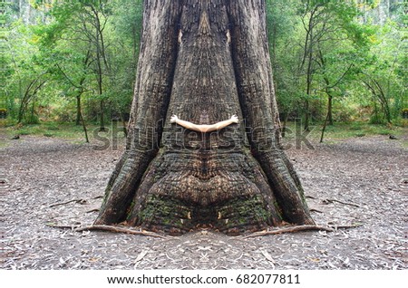 symmetrical surreal photograph of person hugging the trunk of a giant tree, called the grandfather, in Galicia, Spain, abstract naturalism, surrealism, surreal, magical picture, just for crazy 