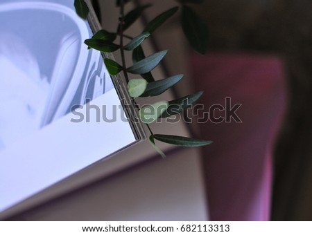 Book of entries for the hidden thoughts of a young girl on a beautiful floral background.