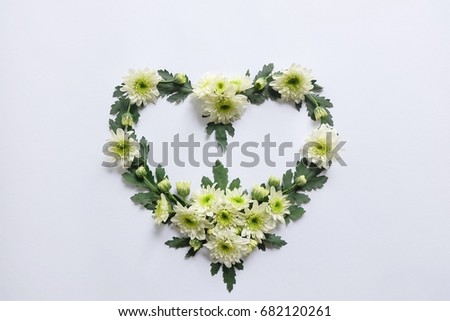 Heart  made of chrysanthemums  on white background.