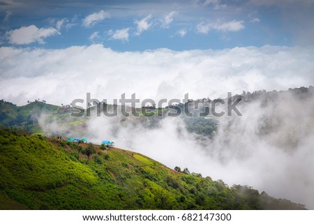 Landscape,Mist,Hill house
