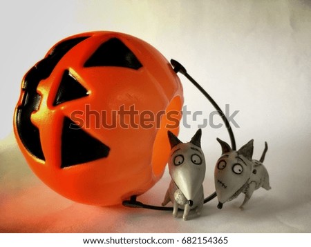 Dog doll and pumpkin Halloween