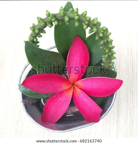 Pink flower and green plants in the metal cup
