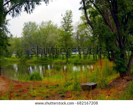 Nature summer river and row of trees on the shore view directly