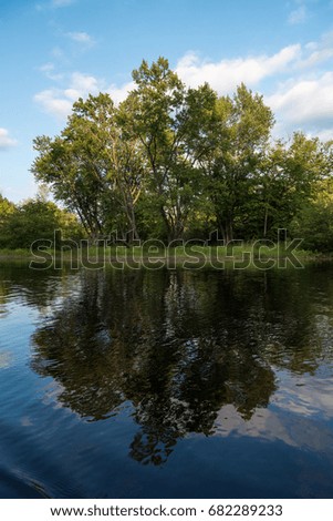 Trees on the bank of a river, Muskoka, Ontario, Canada.