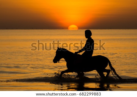 Abstract shadow of equestrian in the morning with sunrise at the lake.